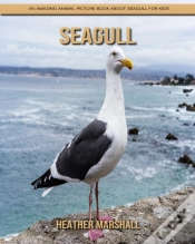 Capa do artigo Seagull