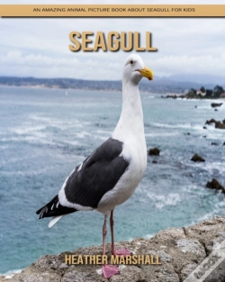 Capa do artigo Seagull