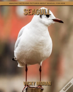 Capa do artigo Seagull
