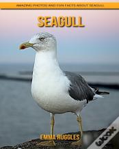 Seagull