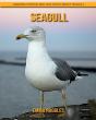 Seagull - Preview