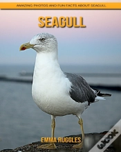 Capa do artigo Seagull