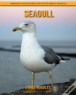 Capa do artigo Seagull