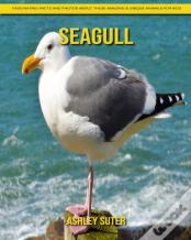 Seagull