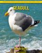 Seagull - Preview