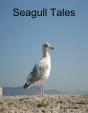 Seagull Tales - Preview