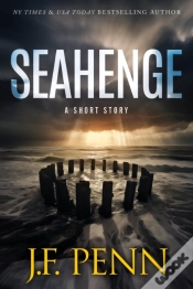 Capa do artigo Seahenge