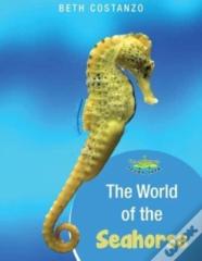 Seahorse Activity Workbook For Kids Ages 4-8