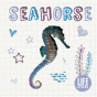 Seahorse - Preview