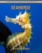 Seahorse - Preview