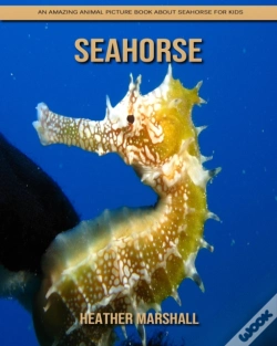 Capa do artigo Seahorse