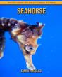 Seahorse - Preview