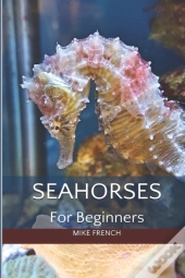 Seahorses For Beginners