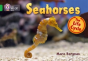 Seahorses - Preview