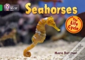 Capa do artigo Seahorses