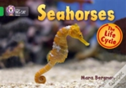 Capa do artigo Seahorses