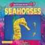 Seahorses - Preview