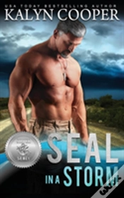Capa do artigo Seal In A Storm