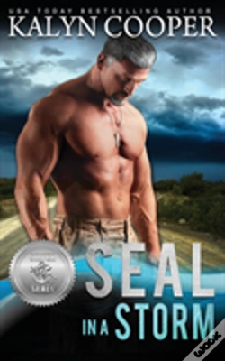 Capa do artigo Seal In A Storm