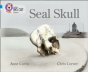 Seal Skull - Preview