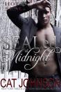 Sealed At Midnight - Preview