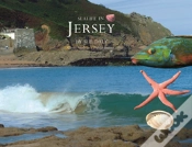 Capa do artigo Sealife In Jersey