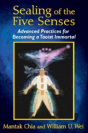 Sealing Of The Five Senses - Preview