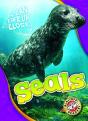 Seals - Preview