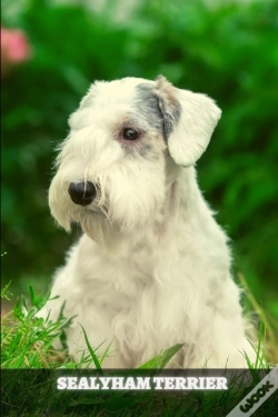 Capa do artigo Sealyham Terrier