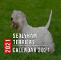 Sealyham Terriers Calendar 2021 - Preview