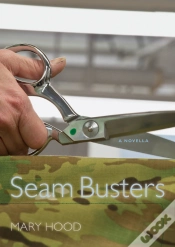 Capa do artigo Seam Busters