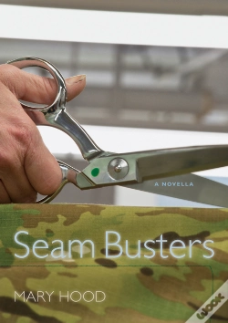 Capa do artigo Seam Busters