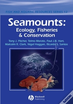 Capa do artigo Seamounts