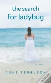 Capa do artigo Search For Ladybug