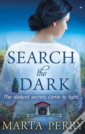 Capa do artigo Search The Dark