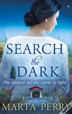 Capa do artigo Search The Dark