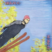 Capa do artigo Search - Vinil