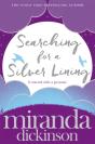 Searching For A Silver Lining - Preview