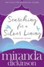 Searching For A Silver Lining - Preview
