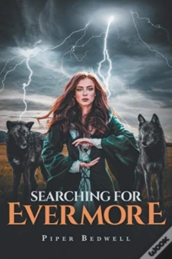 Capa do artigo Searching For Evermore