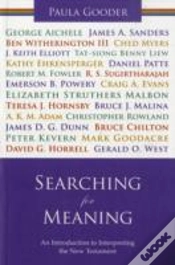 Capa do artigo Searching For Meaning
