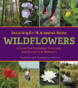 Searching For Minnesota'S Native Wildflowers - Preview