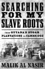 Searching For My Slave Roots - Preview