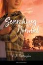 Searching For Normal - Preview