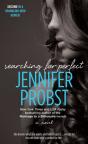 Searching For Perfect - Preview