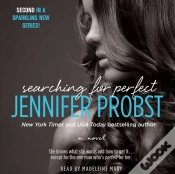 Capa do artigo Searching For Perfect