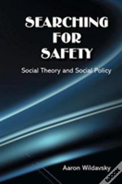 Capa do artigo Searching For Safety
