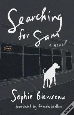 Capa do artigo Searching For Sam