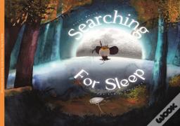 Searching For Sleep