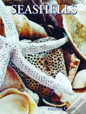 Seashells